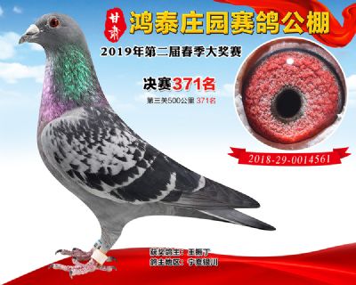 甘肃鸿泰庄园决赛371名