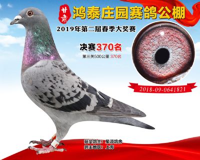 甘肃鸿泰庄园决赛370名
