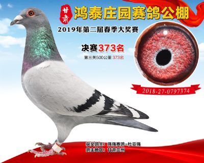 甘肃鸿泰庄园决赛373名