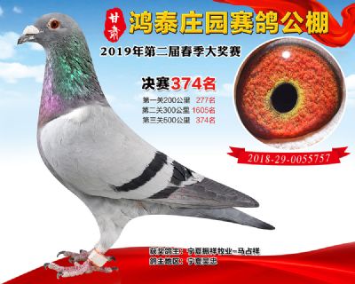 甘肃鸿泰庄园决赛374名