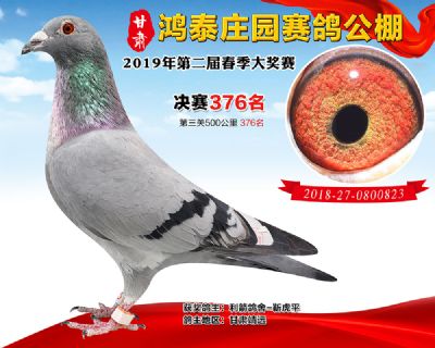 甘肃鸿泰庄园决赛376名