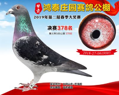 甘肃鸿泰庄园决赛378名