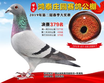 甘肃鸿泰庄园决赛379名