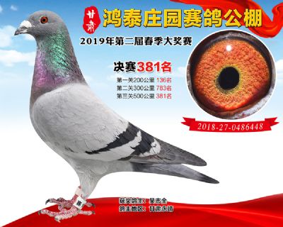 甘肃鸿泰庄园决赛381名