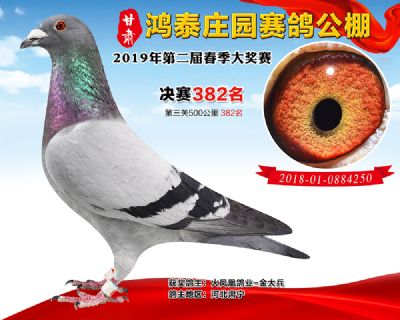 甘肃鸿泰庄园决赛382名