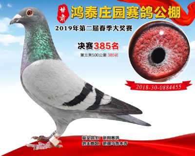 甘肃鸿泰庄园决赛385名