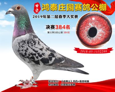 甘肃鸿泰庄园决赛384名