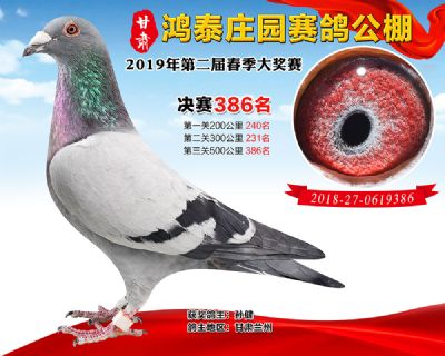 甘肃鸿泰庄园决赛386名