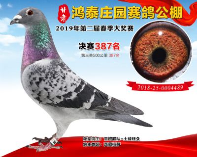 甘肃鸿泰庄园决赛387名