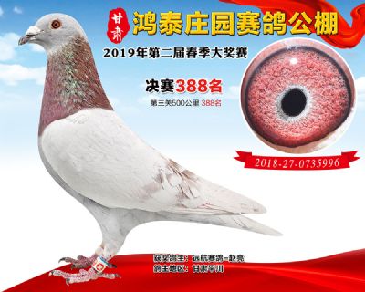 甘肃鸿泰庄园决赛388名