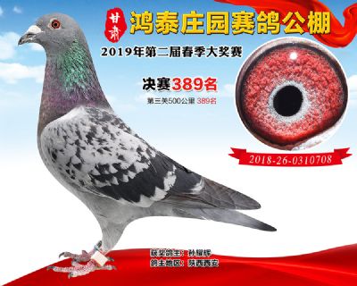 甘肃鸿泰庄园决赛389名