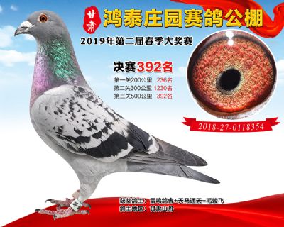 甘肃鸿泰庄园决赛392名