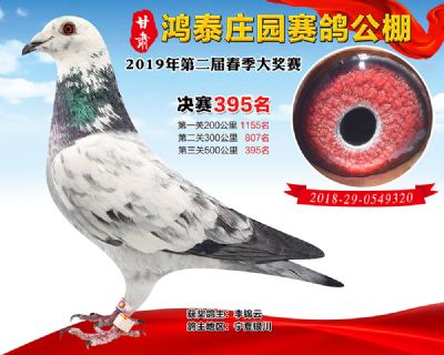 甘肃鸿泰庄园决赛395名