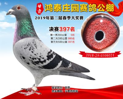 甘肃鸿泰庄园决赛397名