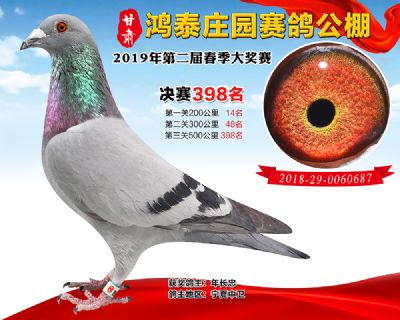 甘肃鸿泰庄园决赛398名