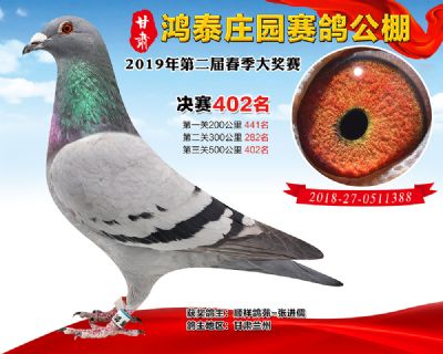 甘肃鸿泰庄园决赛402名