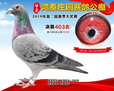甘肃鸿泰庄园决赛403名