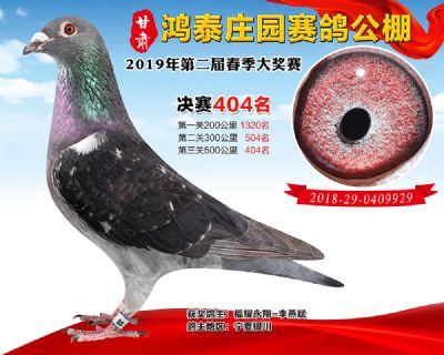 甘肃鸿泰庄园决赛404名