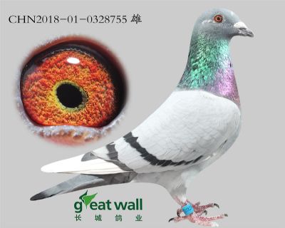 3.速霸龙x奶酪.0328755
