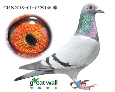 4.奶酪x盖比.0329166