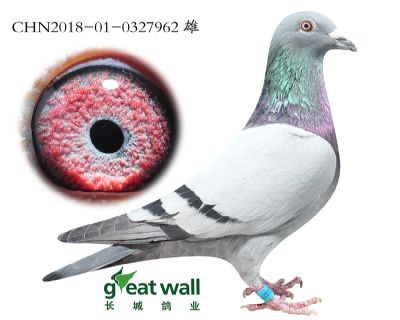 14.蒙拿及灰梦孙代.0327962