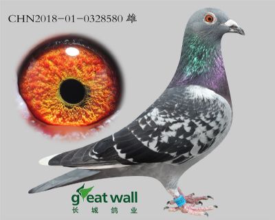 4.长城二号x速霸龙.0328580