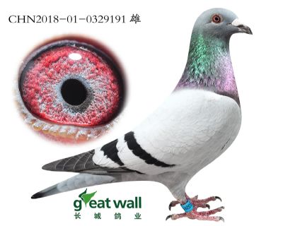 11.卡普一关39名全弟.0329191