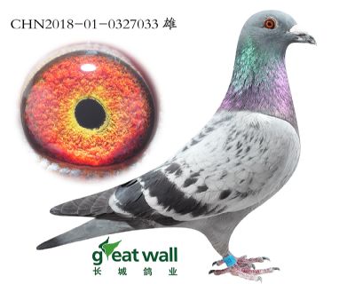14.零缺陷孙代.0327033