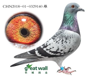 20.零缺陷近血孙.0329140