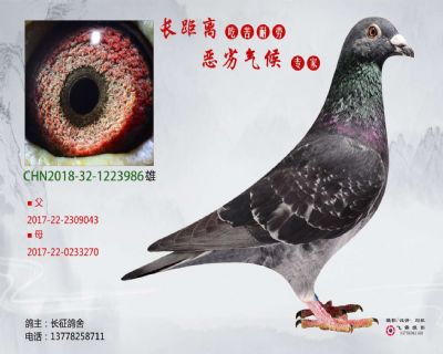 精品吳淞