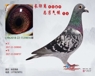 精品吳淞