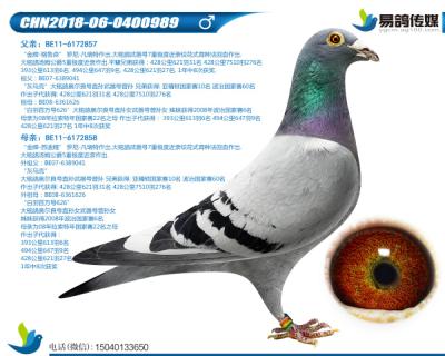 凡瑞特-金牌武器989