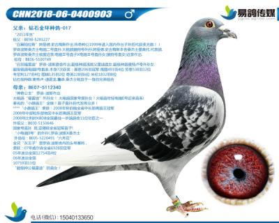 罗森波斯-电脑903