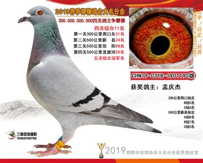 19年春四关11名