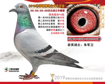 19年春四关16名