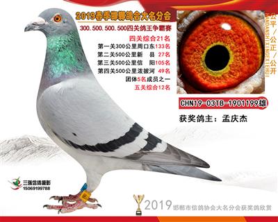 19年春四关21名