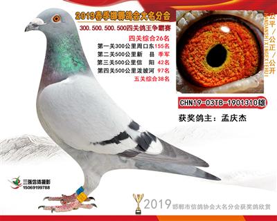 19年春四关26名