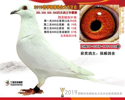 19年春四关31名