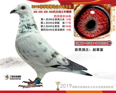 19年春四关36名