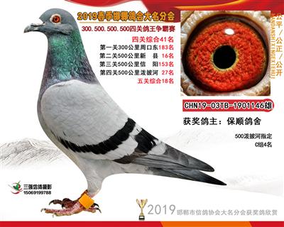 19年春四关41名