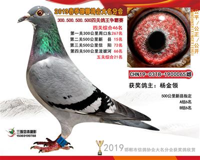 19年春四关46名