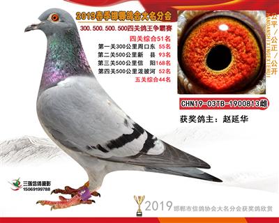 19年春四关51名
