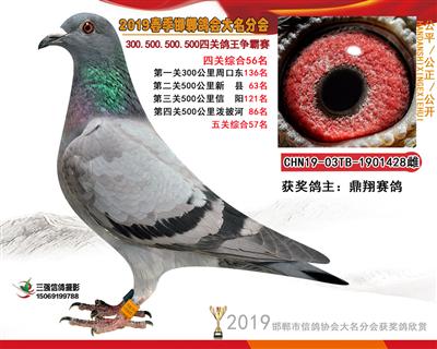 19年春四关56名