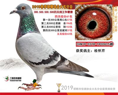 19年春四关61名