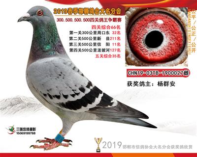 19年春四关66名