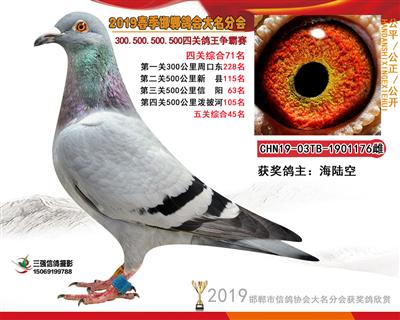 19年春四关71名