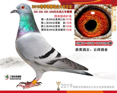 19年春四关81名