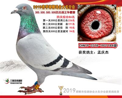 19年春四关86名