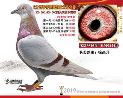 19年春四关91名