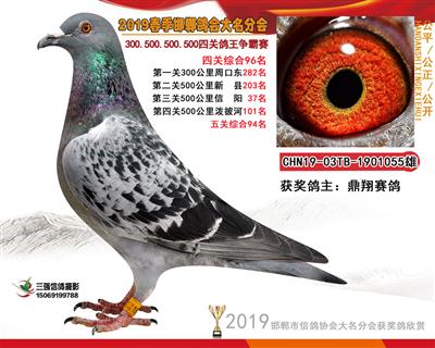 19年春四关96名